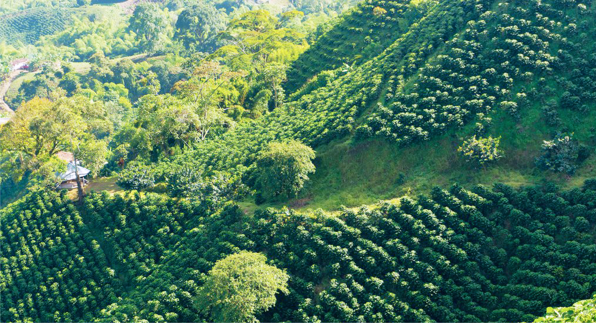 Colombia · Huila