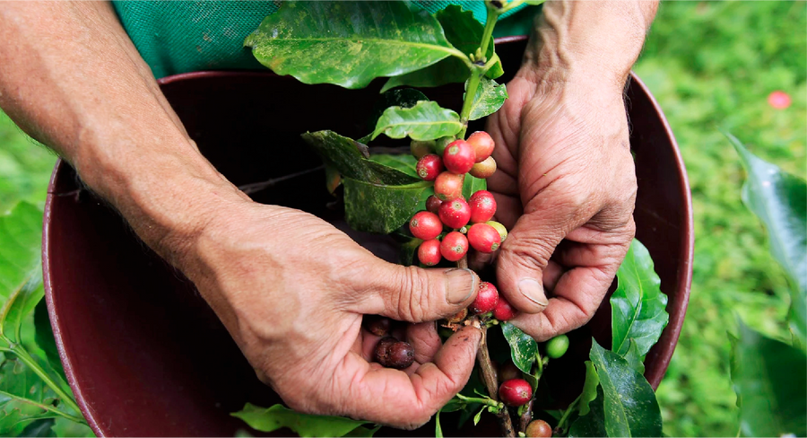 Panama · Chiriquí